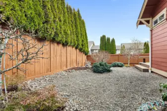 Low maintenance yard