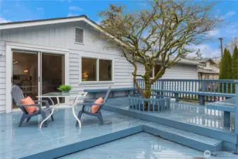 The multi-level deck features a lovely tree as a centerpiece along with perimeter seating benches.