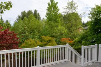 Incredible lush green view from the deck for ultimate privacy.