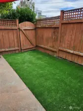 Pet friendly lawn