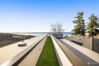 Putting green walkway to the uktimate view deck.  SynLawn is a UV Pet freindly outdoor covering set over a sport court decking. Pets can use it as a relief area, just hose off.