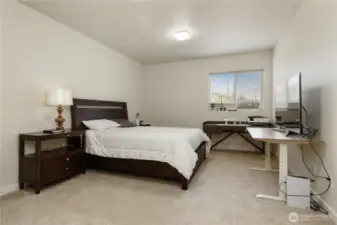 Lower Bedroom - Guest Room