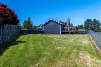 Back yard