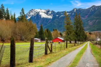 Long, private road accesses the property