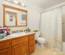 Guest bathroom