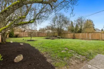 view of large backyard