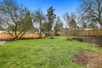 access a future DADU from alley at back fence