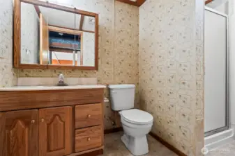 Downstairs bathroom w/shower