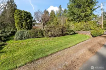 Front yard. These look like random bushes now, but they are GORGEOUS when they bloom! Which will happen very soon