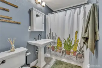 Main floor bathroom