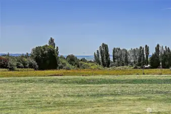 Property is 5 level acres and features great views of Mt Baker, Mt Pilchuck and Mt. Rainer...