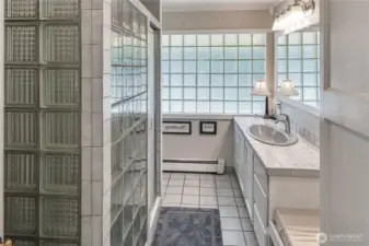 Main level guest bathroom with massive amounts of storage. The glass blocks allow for additional lighting while keeping your privacy.
