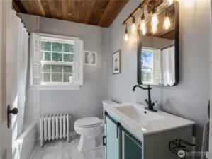 Updated and spacious Downstairs Bathroom