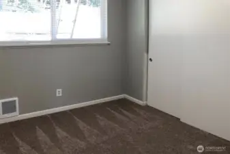 Newer Carpet and Windows