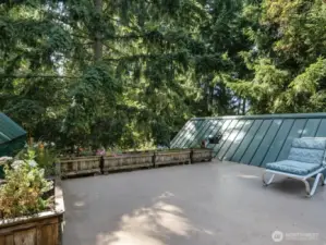 Unique, private rooftop deck, looking towards the woods/island interior.