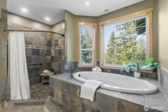 Primary shower has Beautiful Dark Tile and Jetted Bathtub with privacy and magnificent views.