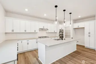 Look at all this space.  Massive amounts of cabinets and drawers and plenty of counterspace & storage.