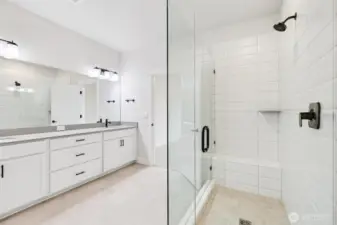 Frameless galss shower and tiled basin