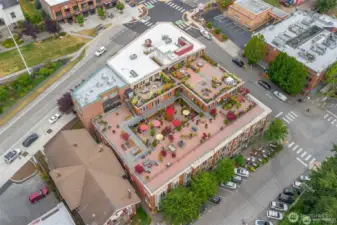 Wonderland of common areas including west-facing rooftop view garden