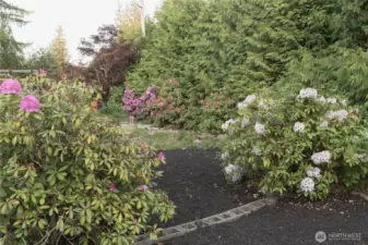 beautiful greenery at the property