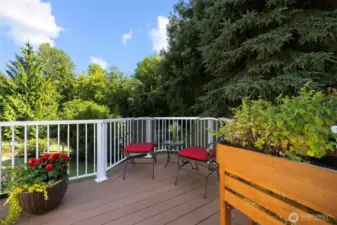 Sitting in this cozy corner of the deck off of the dining room ro enjoy nature
