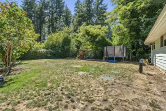 Rear yard