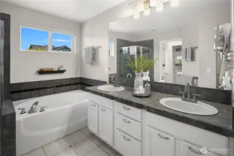 The very spacious primary bathroom