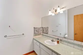 Full Bathroom on Lower level
