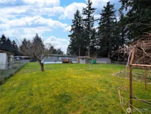 Grape vines to the right were actually used as a personal vineyard.