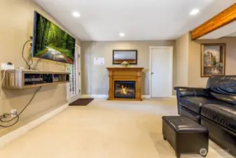 Entertainment, Family/rec room