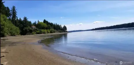 188Ft of pristine tideland where Orcas often visit!
