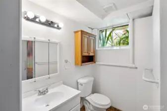 Lower level 3/4 bathroom