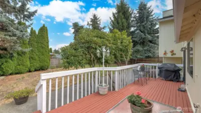 Large, level, fenced backyard.