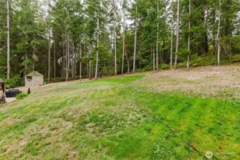 Backyard open space
