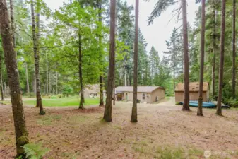 Looking from the back property line towards the house