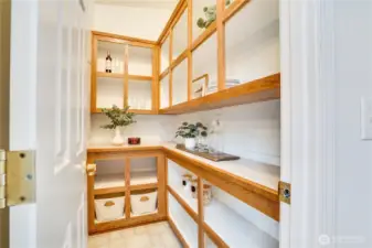 Walk-in pantry.