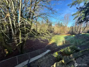 Large lower yard behind the house.