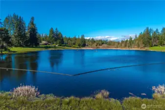 Picture yourself HERE this summer!