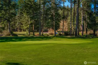 Grab your clubs and head to the golf course!