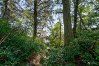 Pretty little creek that runs through the property and parallels the walking trail to the beach.