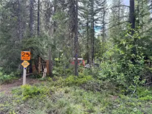 Room to expand or build a new home in the woods