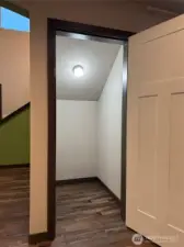 Large lighted storage closet under stairs.