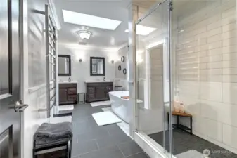 Primary Shower
