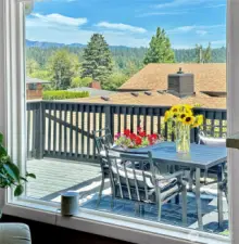 Looking out one of the living room windows...love the view of the hillside.