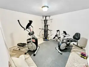 Den/office in the lower level that is currently being used for a workout room.