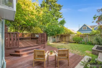 fenced-in back yard with apple and fig trees!