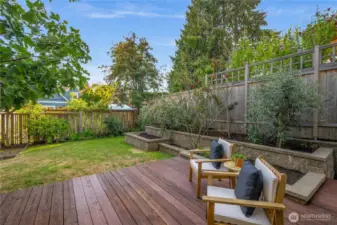 fenced-in back yard with apple and fig trees!