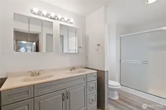 Main Floor Primary bath