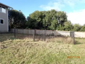 fenced dog run