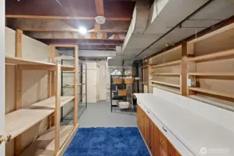 Pantry with plenty of storage